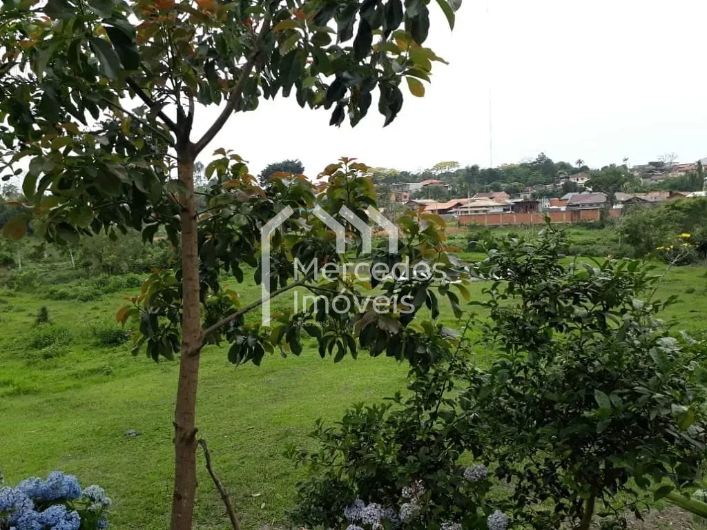 Foto 10 de Chácara à venda, 7920 m² por R$ 2.000.000- Nossa Senhora da Conceição - Balneário Piçarras/SC