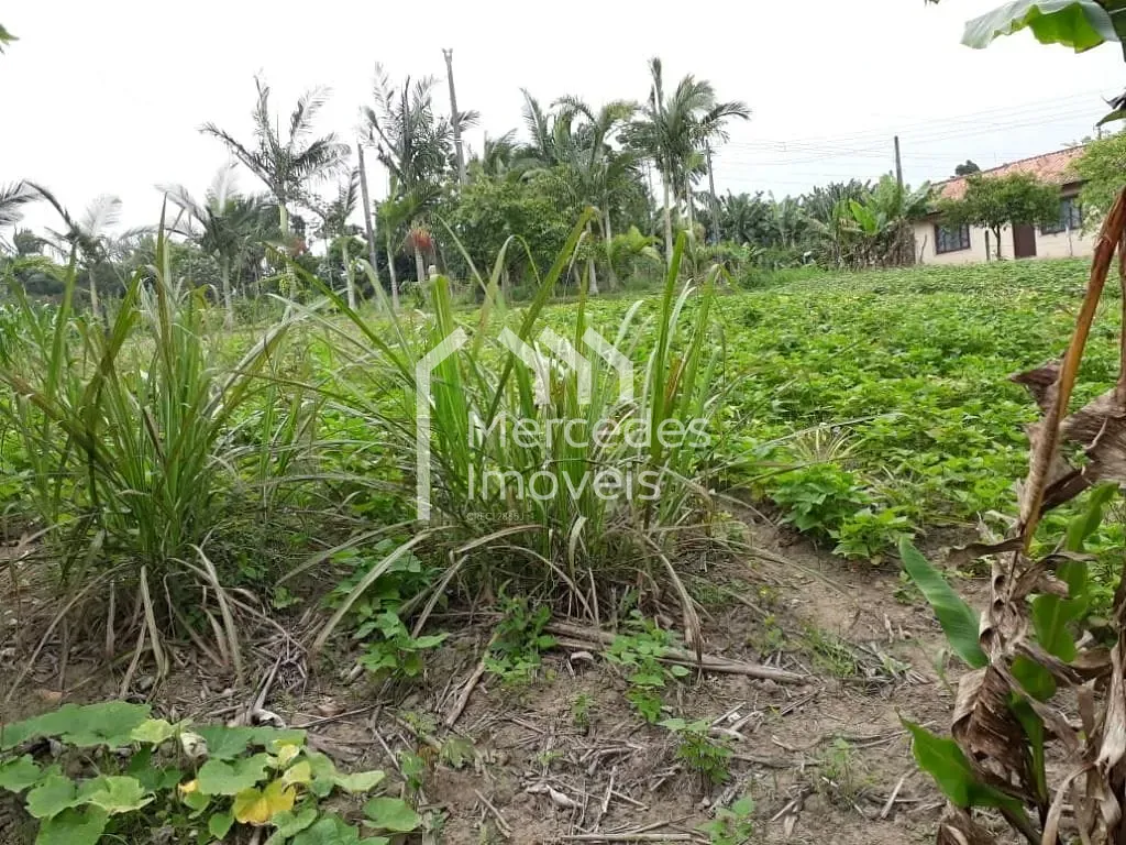 Foto 11 de Chácara à venda, 7920 m² por R$ 2.000.000- Nossa Senhora da Conceição - Balneário Piçarras/SC