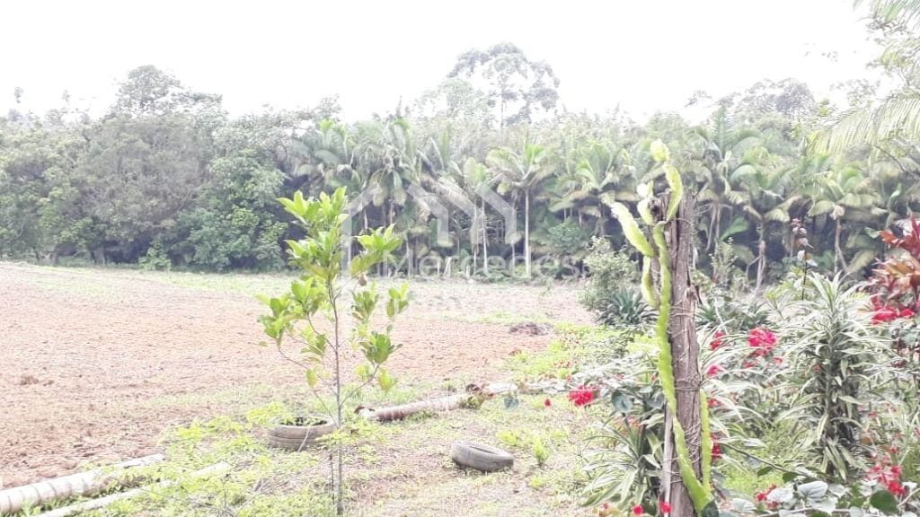 Foto 5 de Chácara 2 dorms à venda · Nossa Senhora da Conceição, Balneário Piçarras