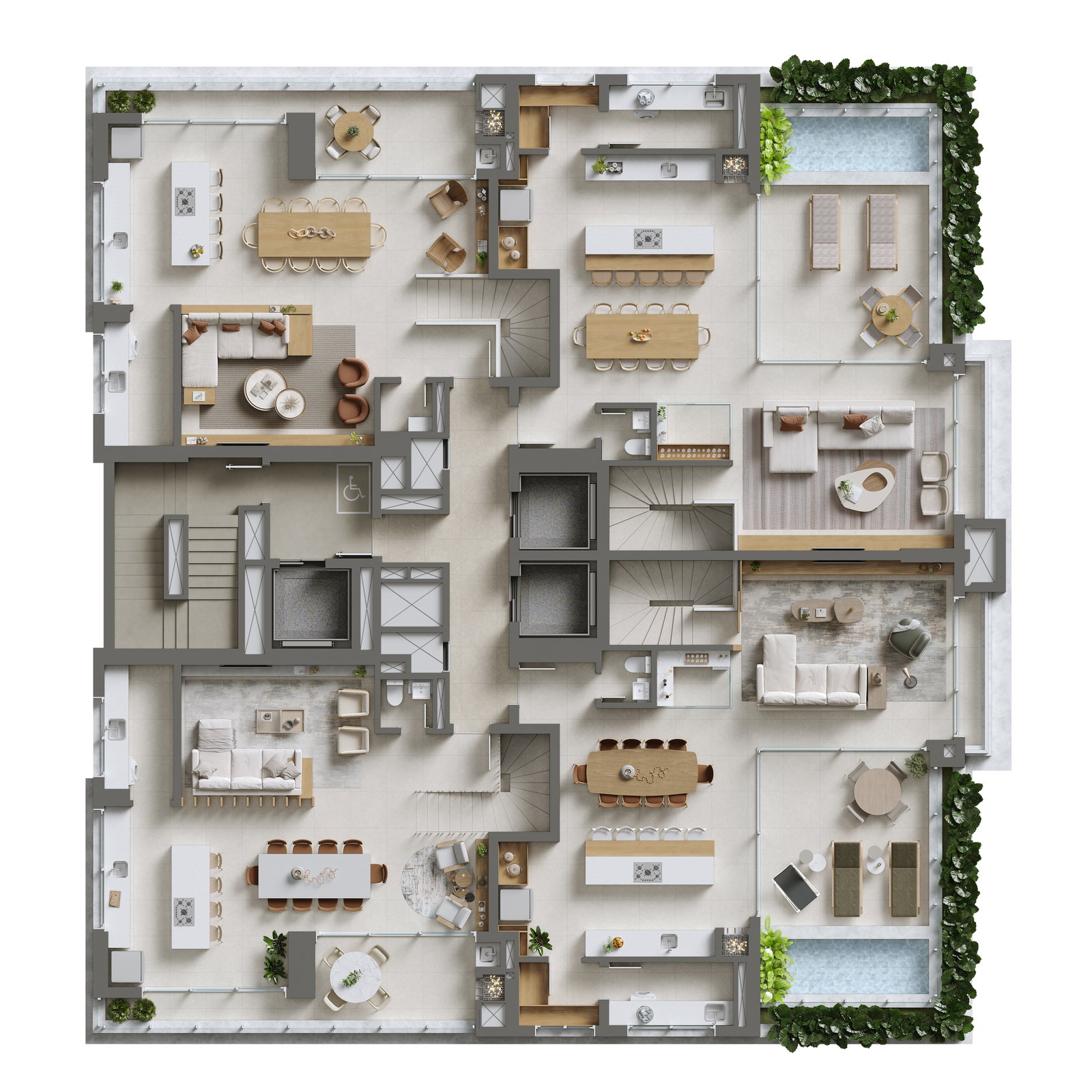 Planta 6 de Brava Drummond