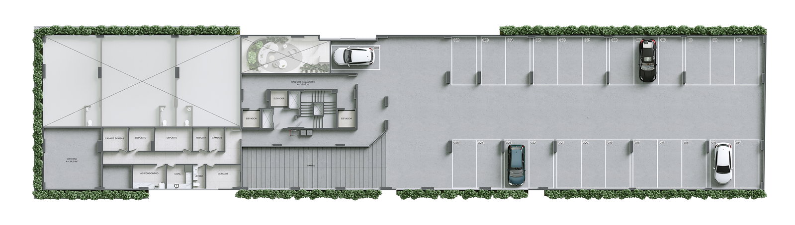 Planta 4 de Brava Concetto