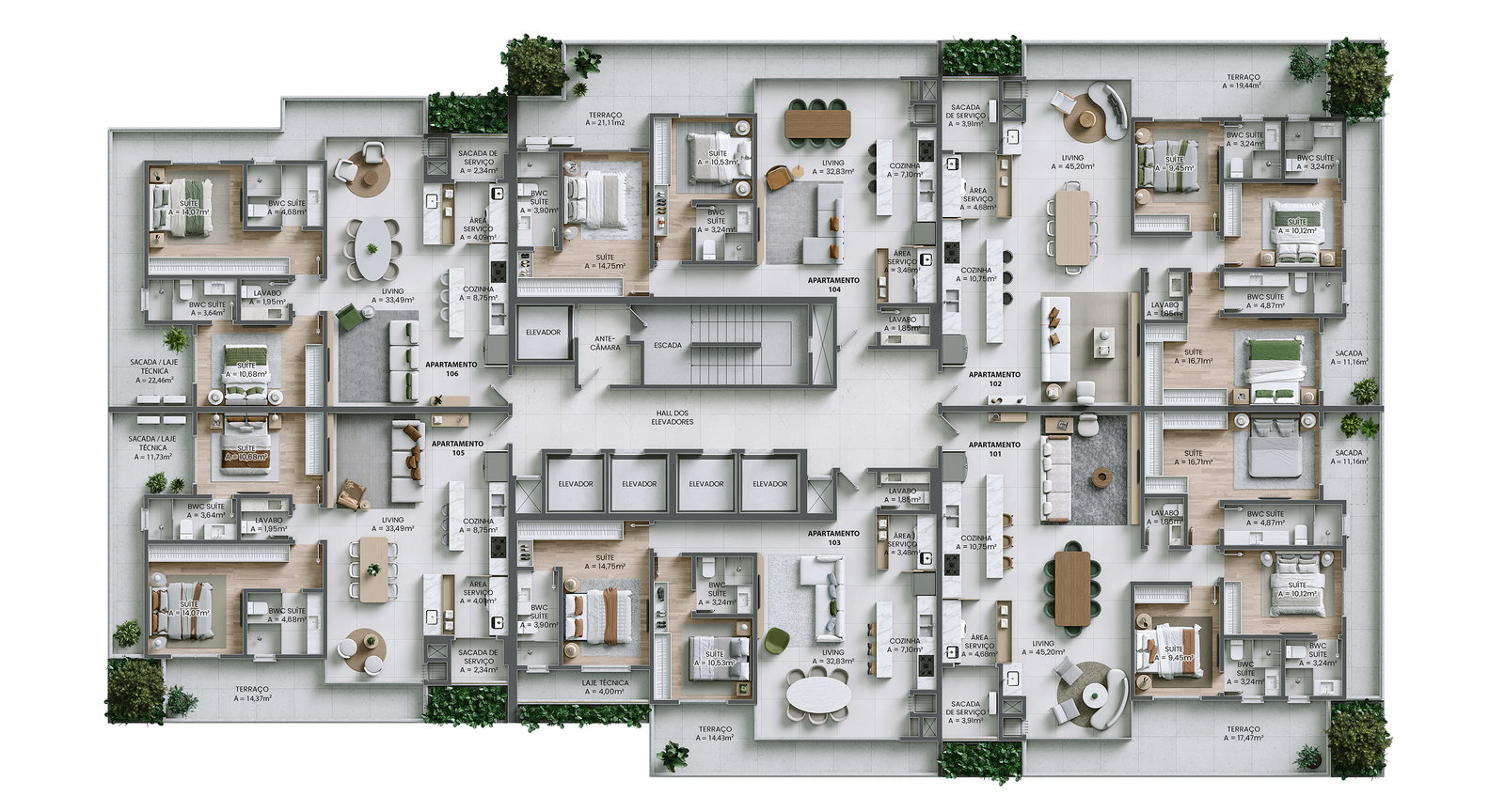 Planta 2 de Brava Riserva