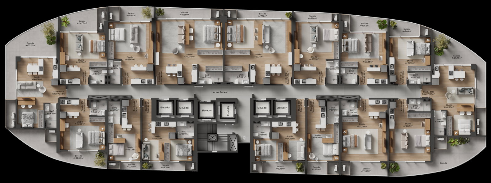 Planta 14 de NF Raro By Sierra