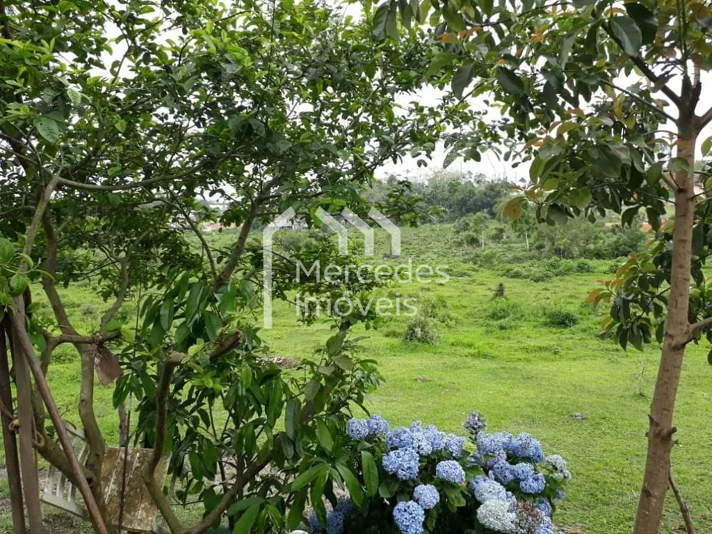 Foto 12 de Chácara à venda, 7920 m² por R$ 2.000.000- Nossa Senhora da Conceição - Balneário Piçarras/SC