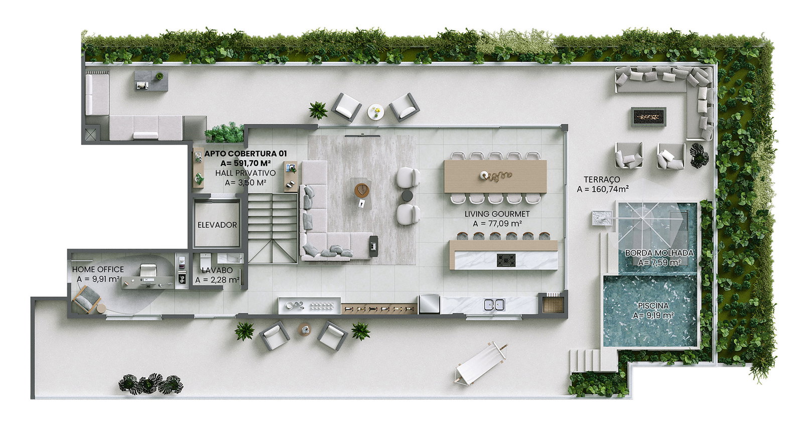 Planta 12 de Brava Concetto